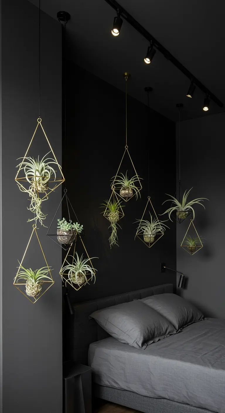 Modernos colgadores geométricos de metal con plantas de aire en su interior, sobre una pared negra.