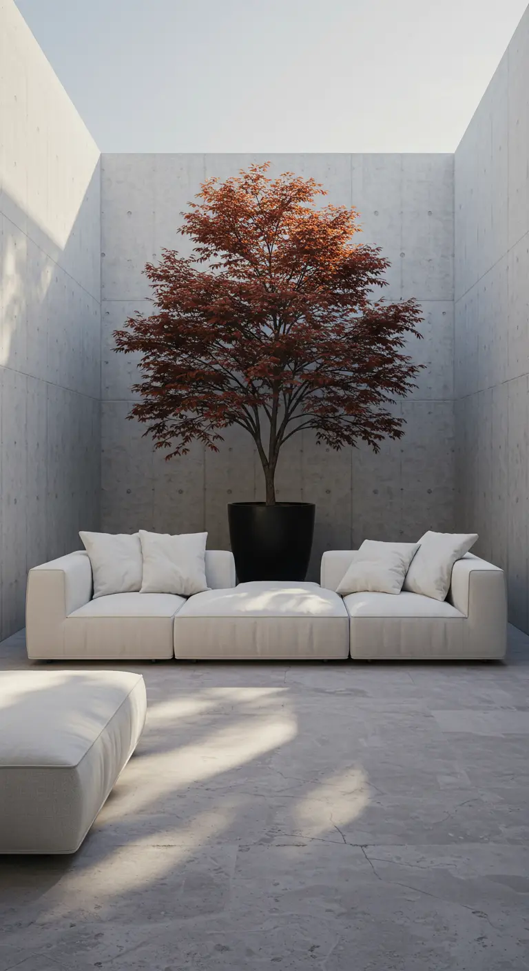 Patio minimalista de cemento con un sofá modular blanco y un gran arce rojo como punto focal.