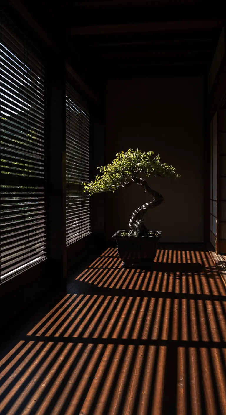 Bonsái en una habitación oscura, iluminado por la luz que se filtra a través de persianas.