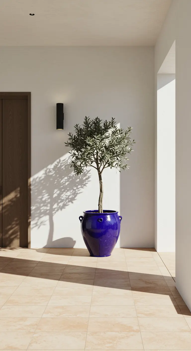 Rincón minimalista con un olivo en una maceta grande de cerámica azul brillante.